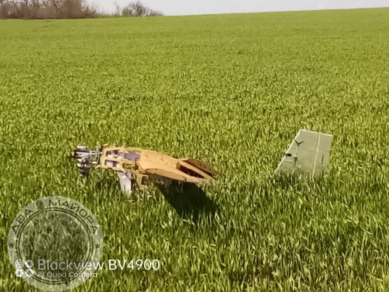 Изображение из галереи