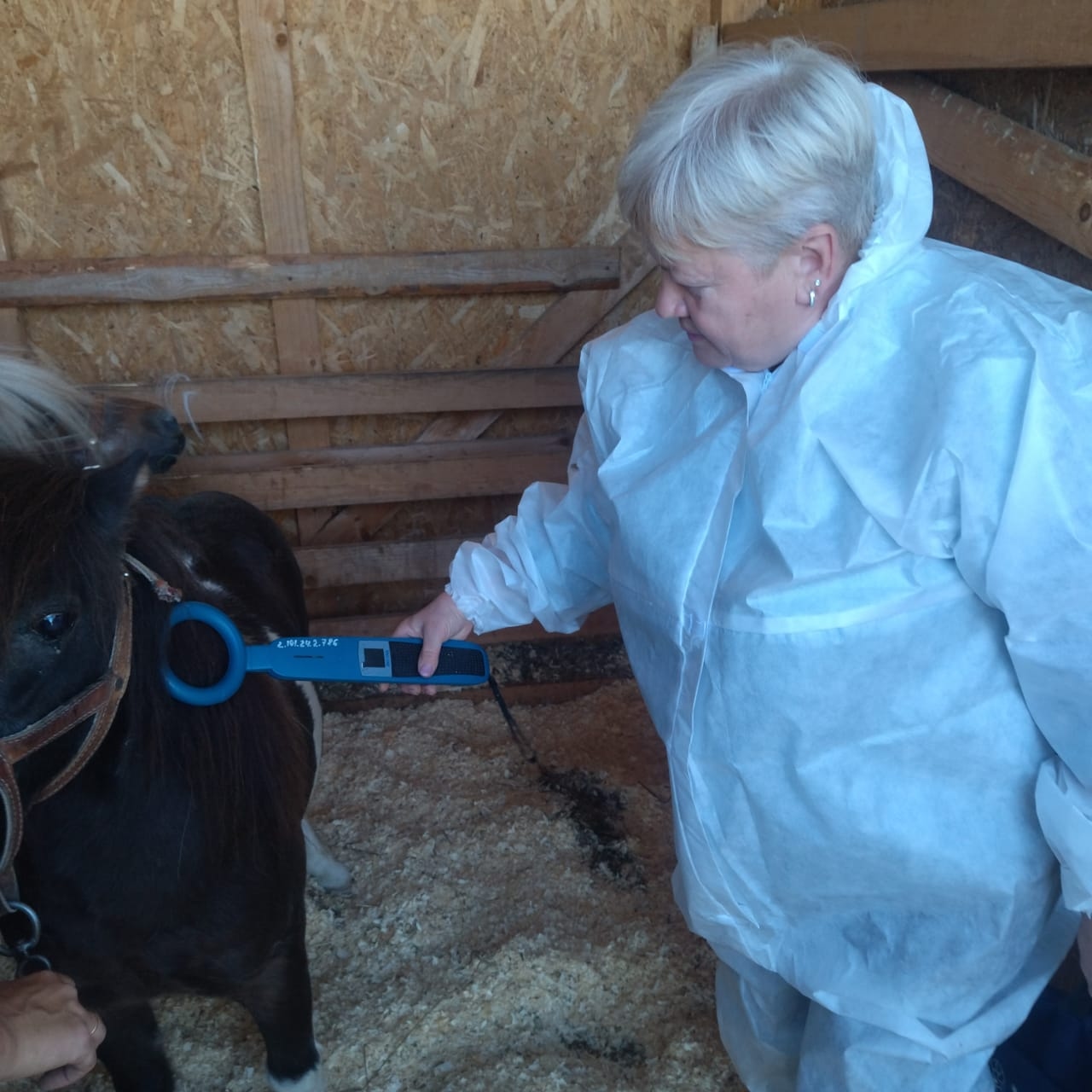 Ветеринарное обследование