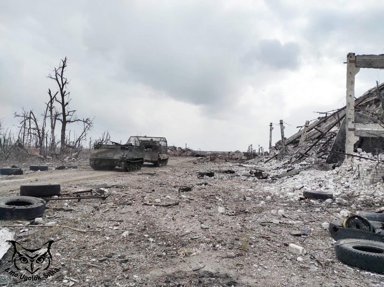 Изображение из галереи