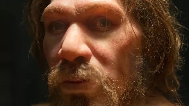 Фото: Petr Kratochvil