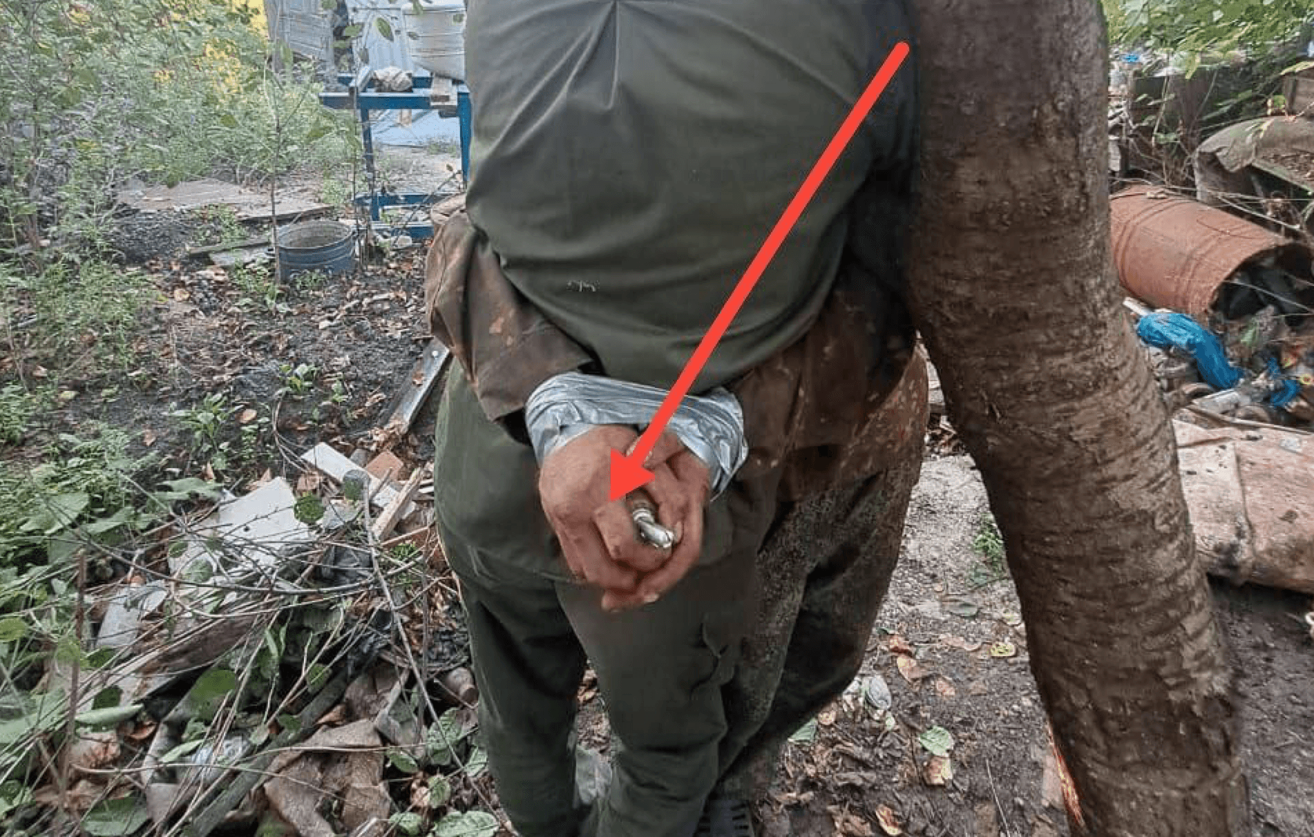 Иллюстрация к материалу