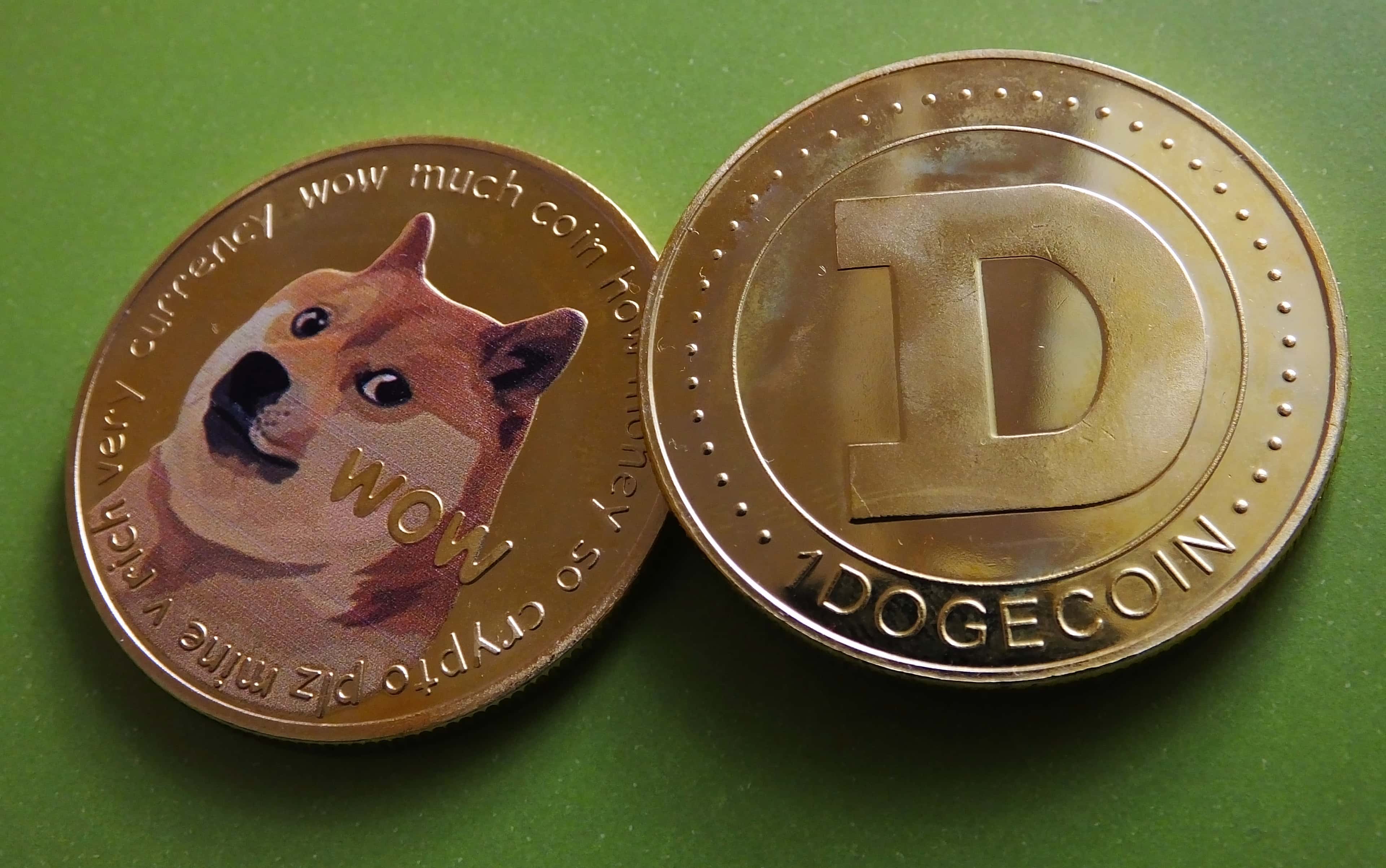 Илона Маска и его компании обвинили в создании финансовой криптопирамиды Dogecoin — Bloomberg