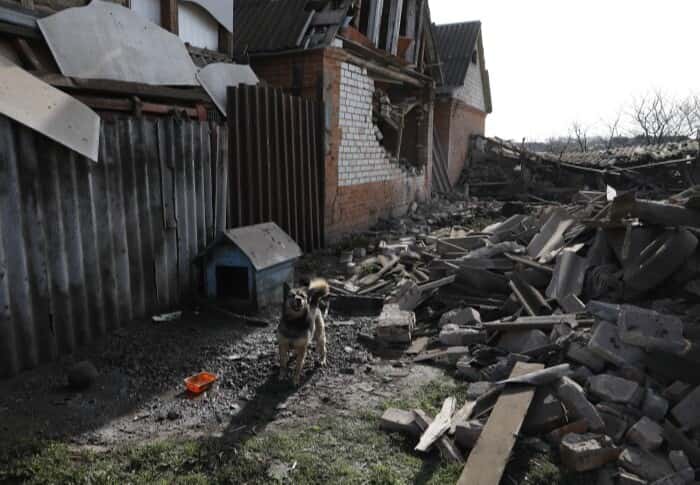 Жители Белгородской области повреждают дома и выдают это за обстрел, чтобы сделать ремонт — губернатор Гладков