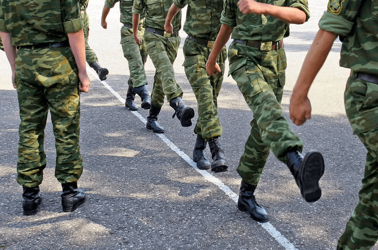 Мобилизованные из Новосибирска отказались воевать без подготовки и написали рапорты