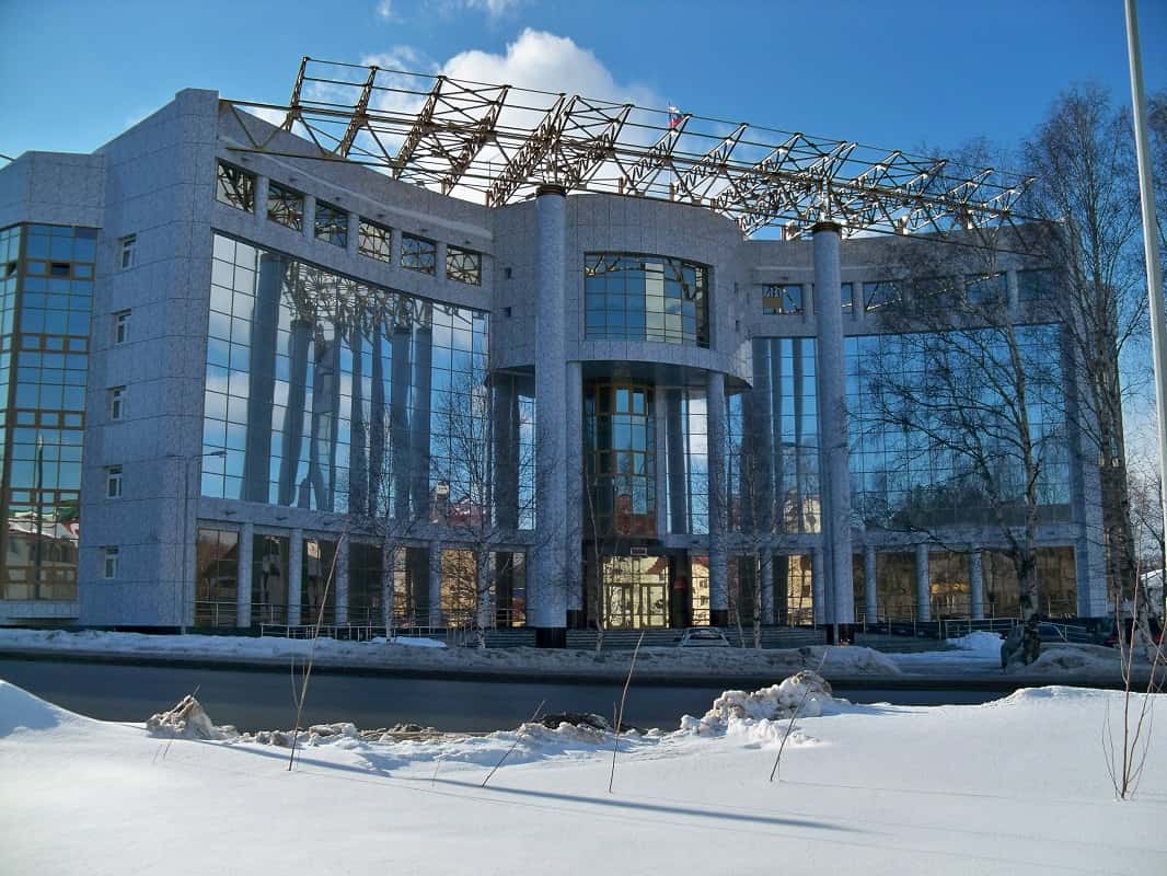 Жителя Сургута приговорили к 9 годам колонии по обвинению в госизмене