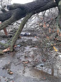 Миниатюра 15