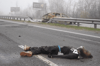 Миниатюра 6