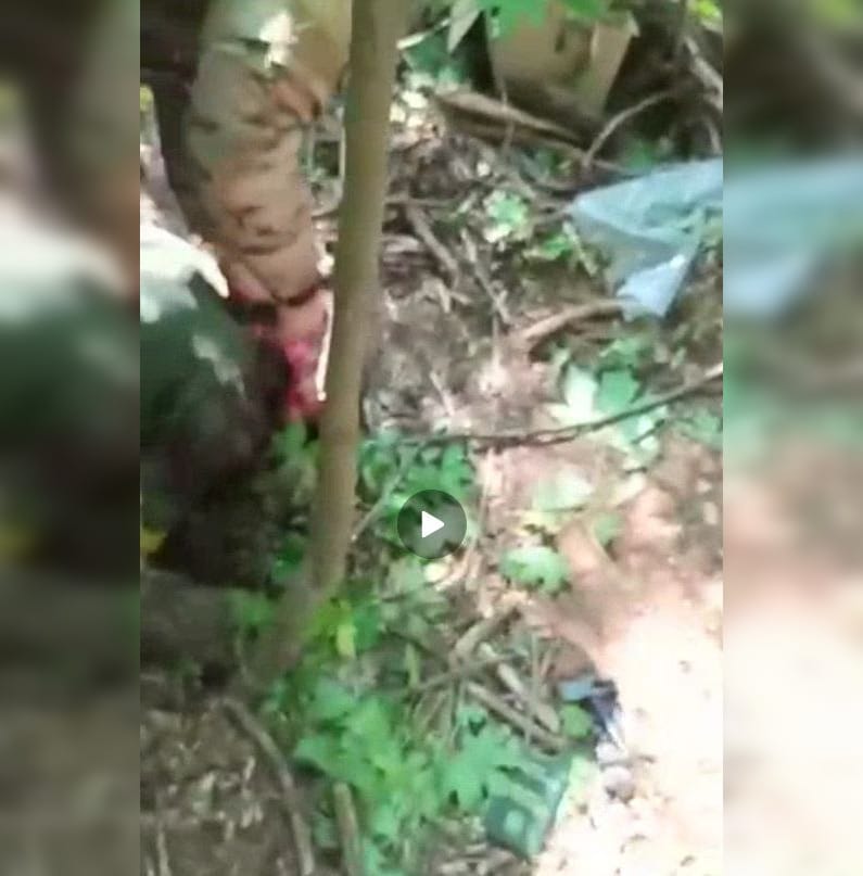 «В мешок ее и отправить командиру». В Telegram-канале Позднякова опубликовали видео, как украинскому военнослужащему отрезают голову