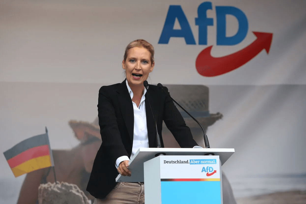 «Лидеру АдГ Алис Вайдель выгодно разорвать отношения с Россией ради власти в Германии и поддержки Трампа» — политолог